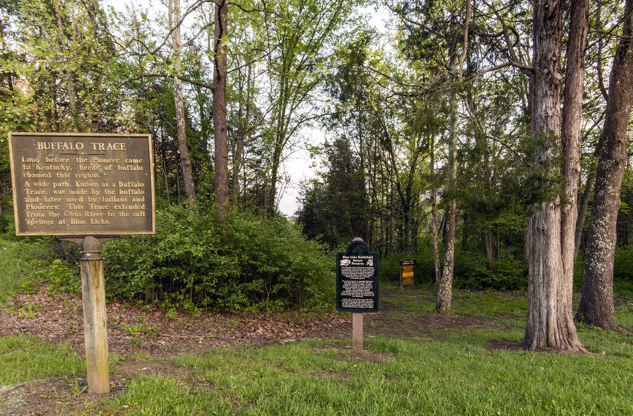 Hotel Blue Licks Battlefield State Park Carlisle Esterno foto